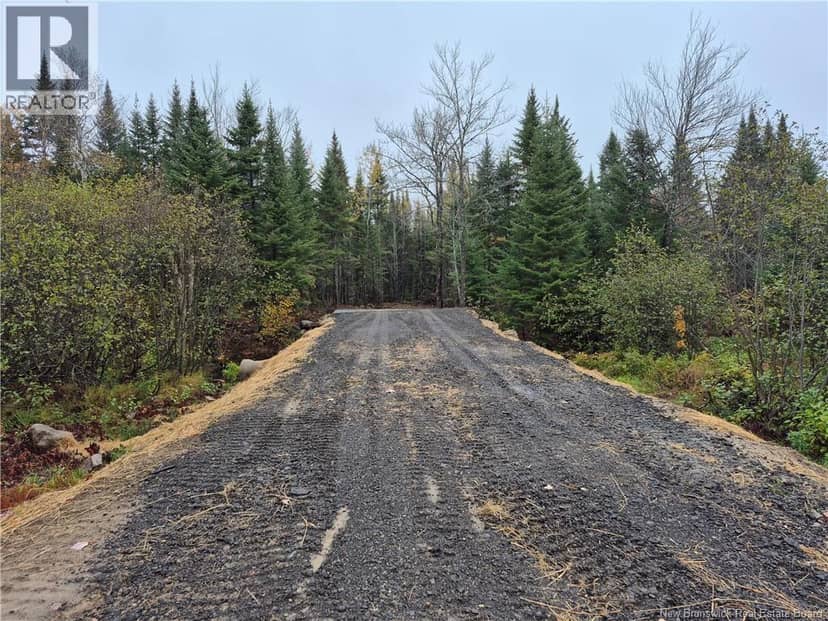Kingsley Road — photo 3 of 21