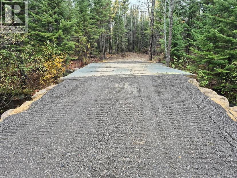 Kingsley Road — photo 4 of 21