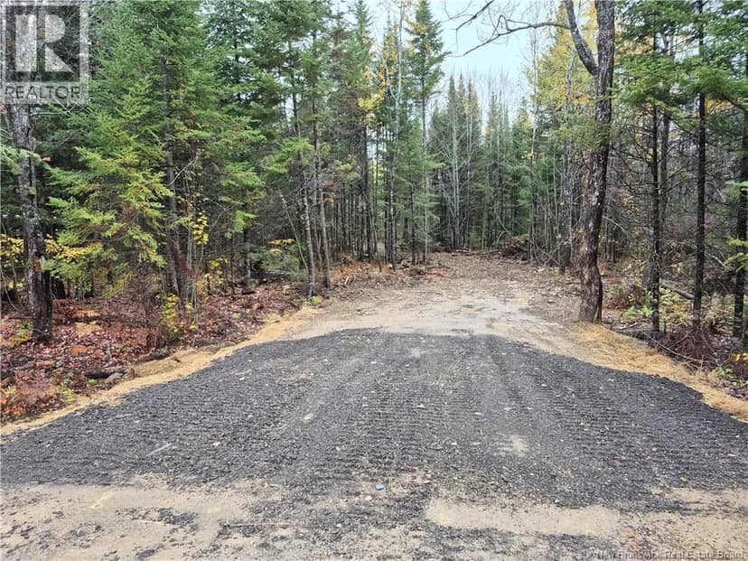 Kingsley Road — photo 5 of 21