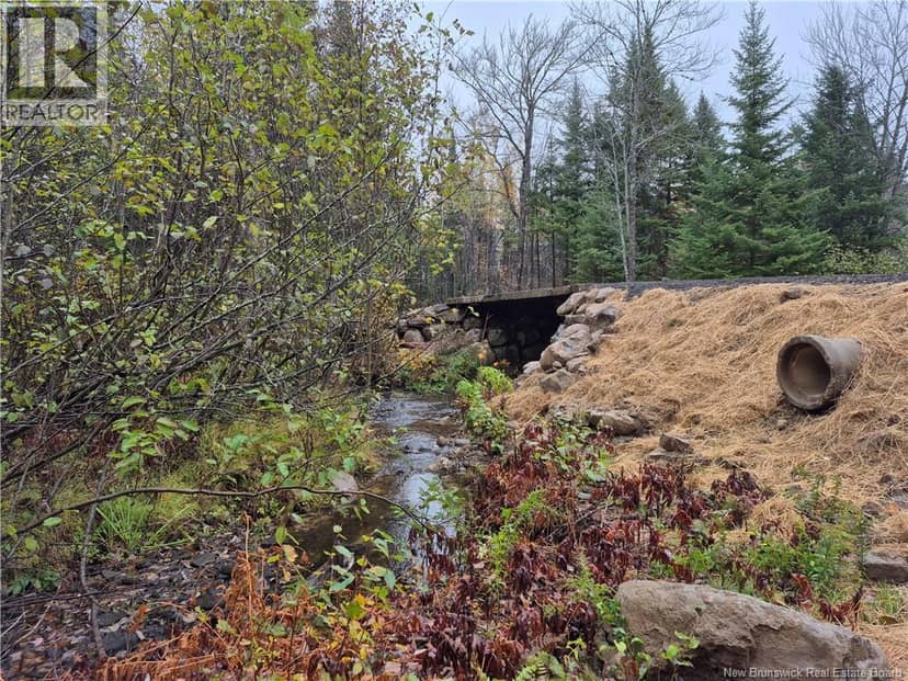 Kingsley Road — photo 9 of 21