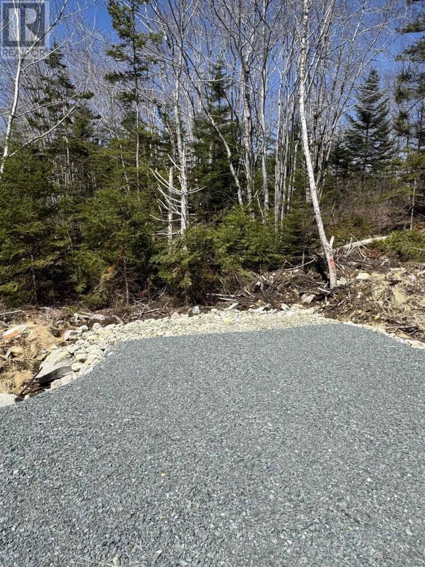 Lot 1 Highway 3, Summerville Heights — photo 5 of 13