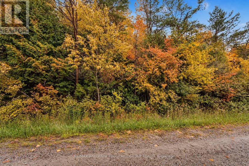 1659 County Road 92, Springwater, photo 4