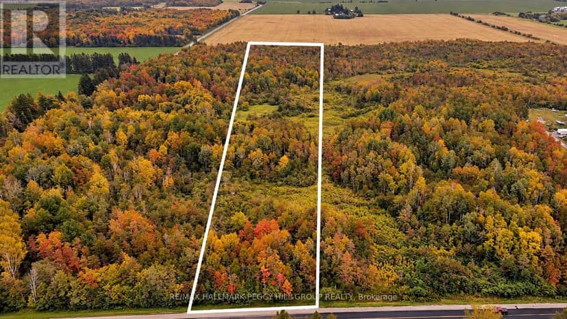 1659 County Road 92, Springwater, photo 6