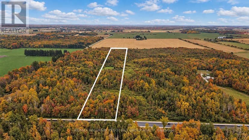 1659 County Road 92, Springwater, photo 3