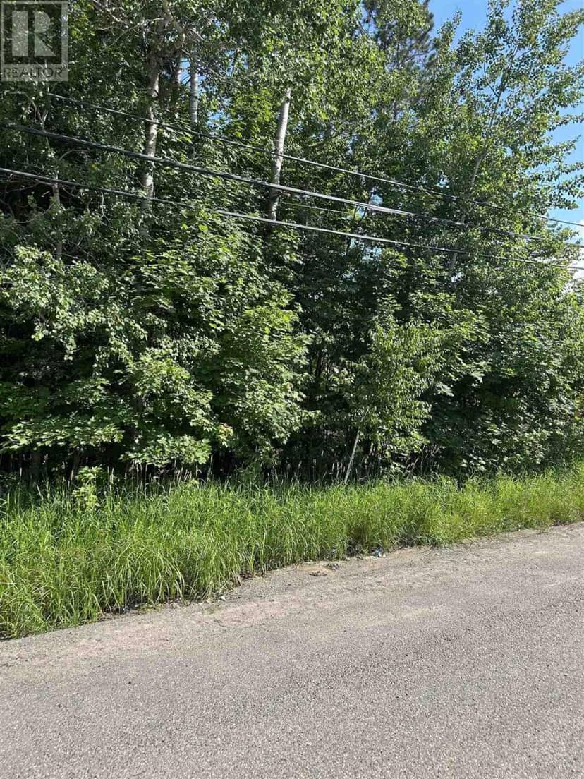 417 Old Garden River RD — photo 4 of 4