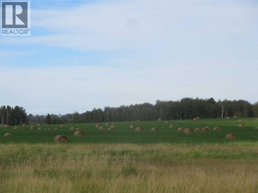 414012 Range Road 6-2, Rural Clearwater County, photo 3