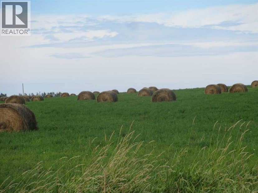 414012 Range Road 6-2, Rural Clearwater County, photo 6