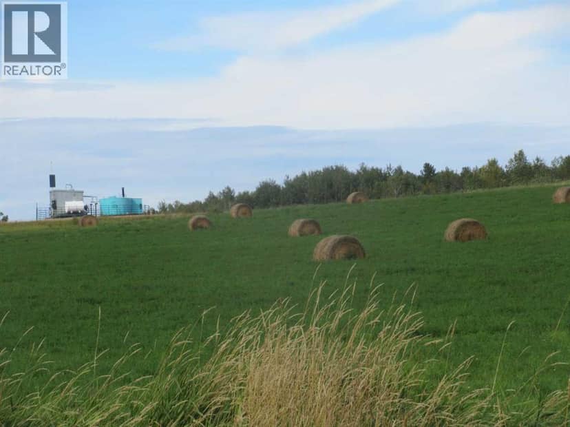 414012 Range Road 6-2, Rural Clearwater County, photo 5