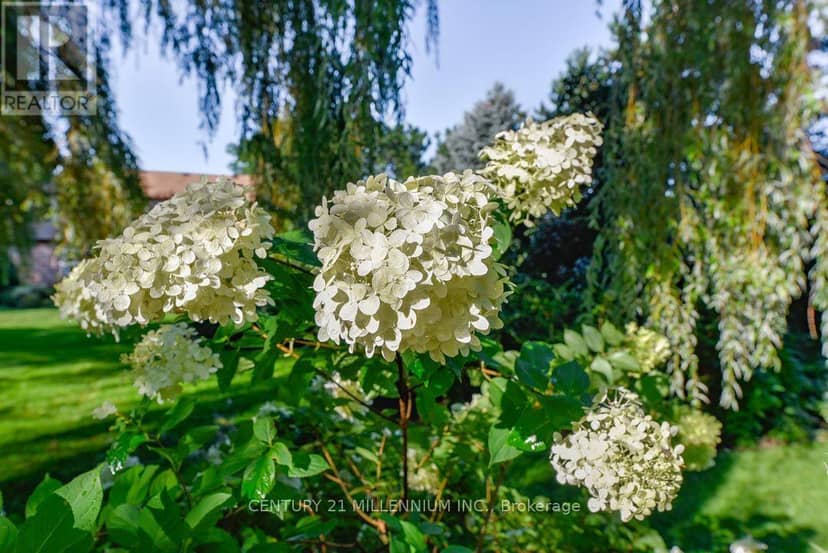 5 Snowberry Court — photo 40 of 40
