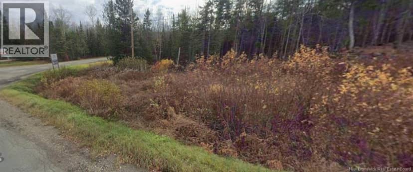 Vacant lot Mountain Brook, Charlo, photo 4