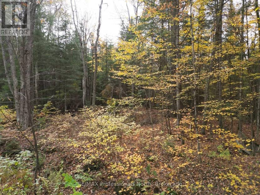 Tbd Rugged Lane, Minden Hills, photo 5