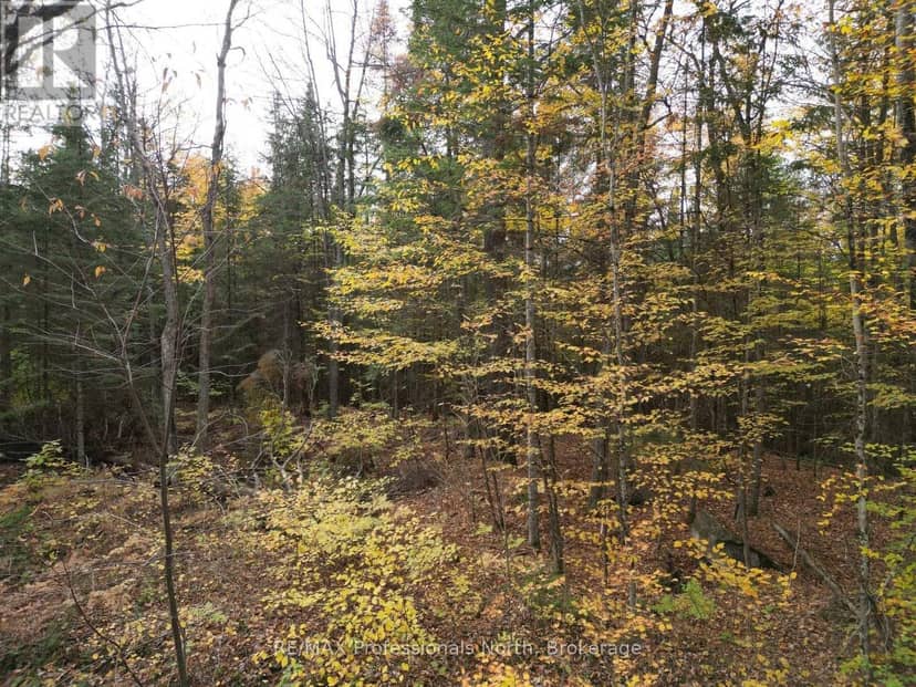 Tbd Rugged Lane, Minden Hills, photo 6