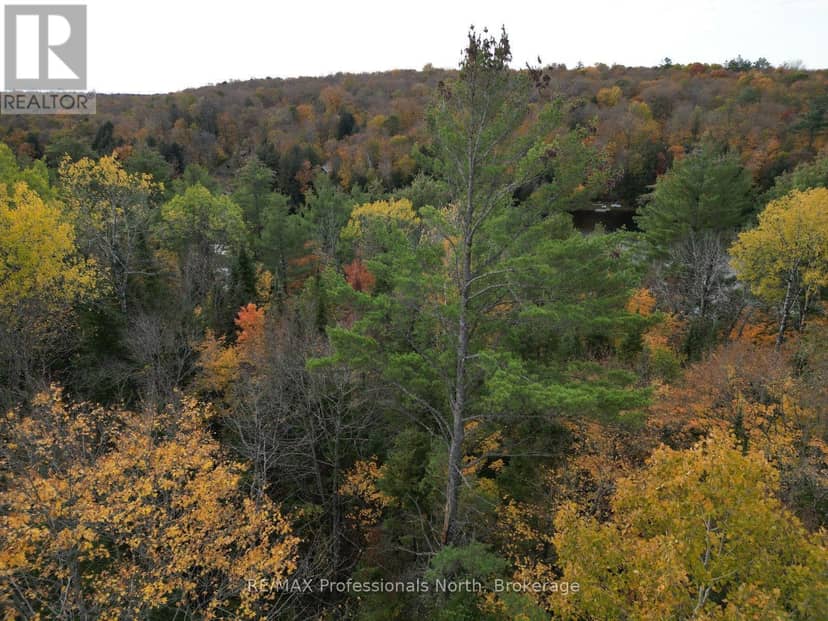 Tbd Rugged Lane, Minden Hills, photo 7