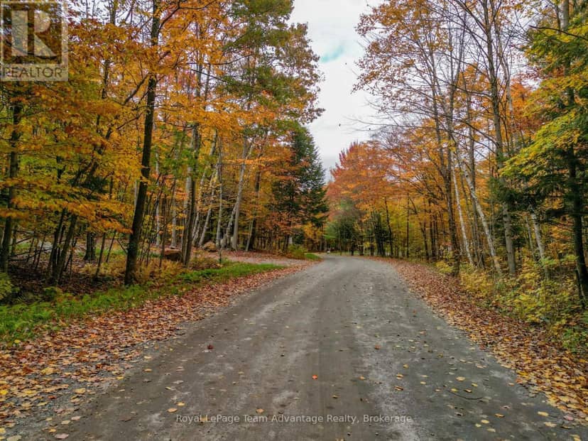 0 Mill Lake Trail — photo 6 of 40