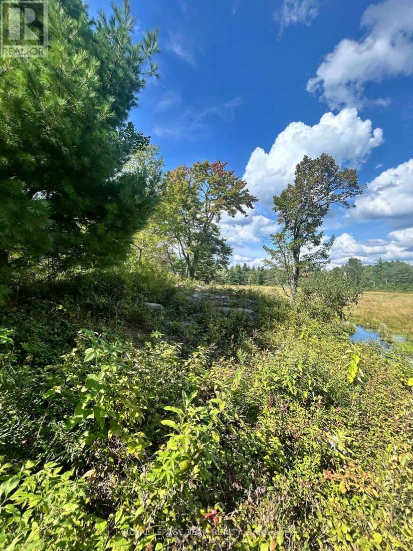 Lot 7&8 Pond Road — photo 11 of 30