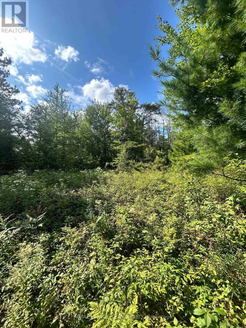 Lot 7&8 Pond Road — photo 12 of 30
