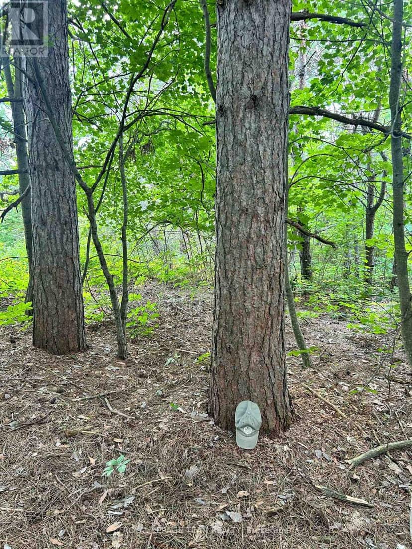 Lot 7&8 Pond Road — photo 14 of 30