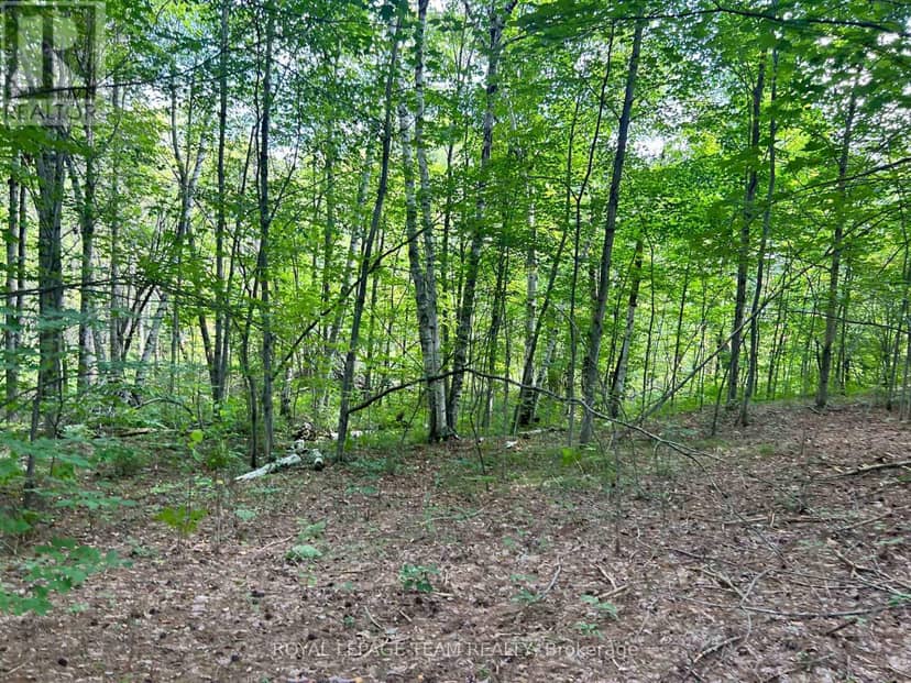 Lot 7&8 Pond Road — photo 16 of 30