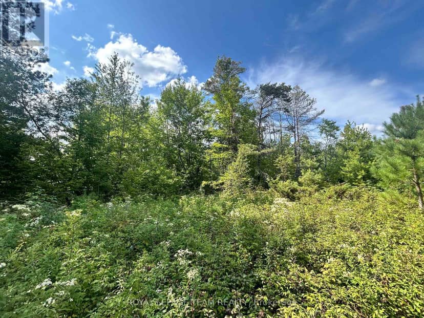 Lot 7&8 Pond Road, Tay Valley, photo 6