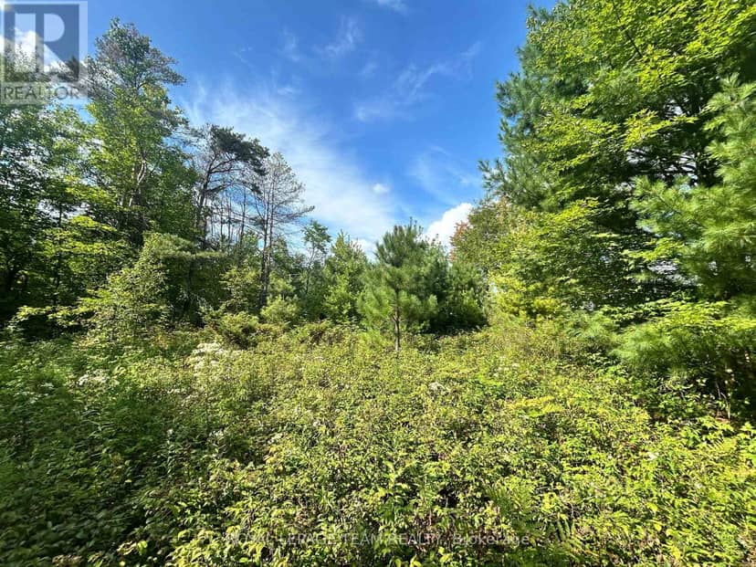 Lot 7&8 Pond Road, Tay Valley, photo 7