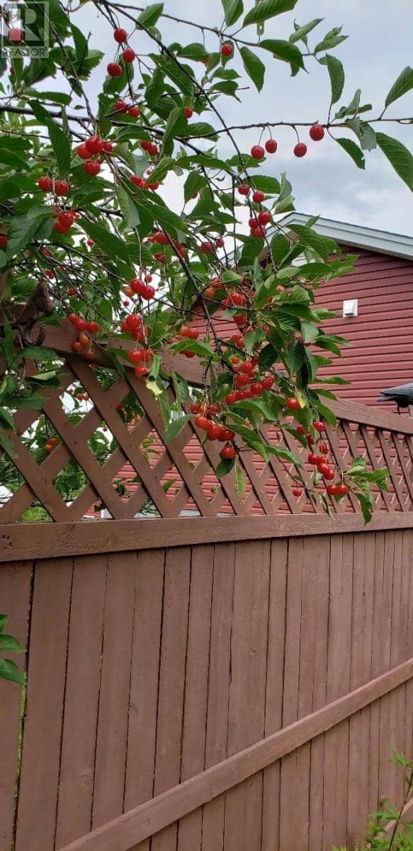 22 Petries Street — photo 26 of 26