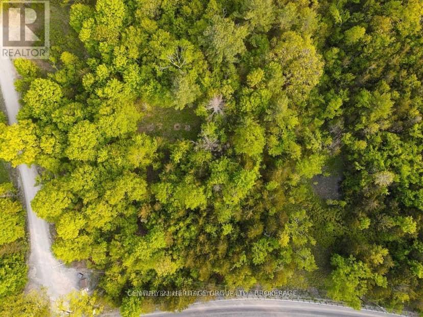 Lot 12 Hinterland Lane — photo 11 of 17