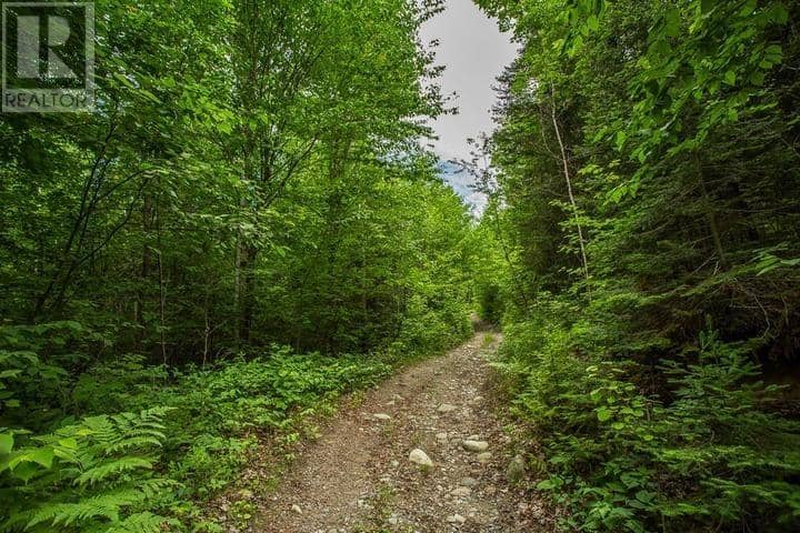 Highway 17 Sheppards LN, Township of North Shore — photo 11 of 40