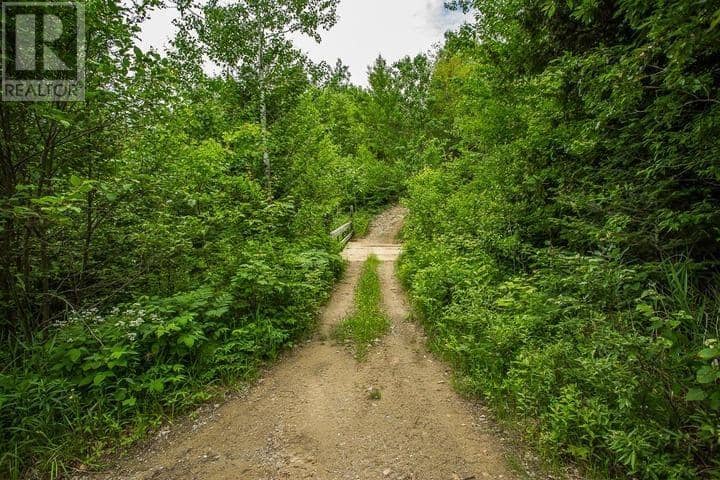 Highway 17 Sheppards LN, Township of North Shore — photo 13 of 40