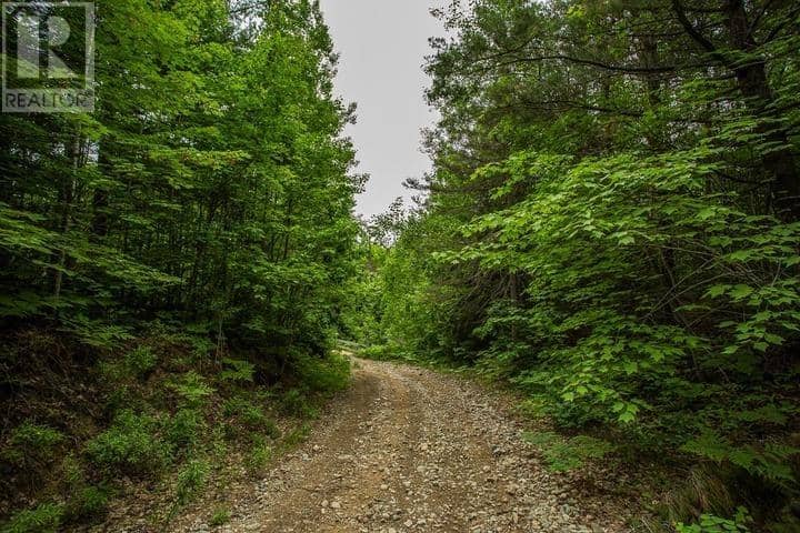 Highway 17 Sheppards LN, Township of North Shore — photo 17 of 40