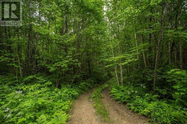 Highway 17 Sheppards LN, Township of North Shore — photo 20 of 40