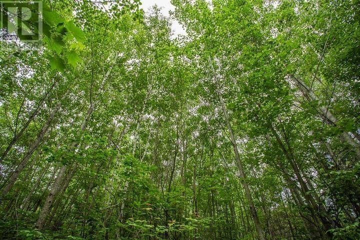 Highway 17 Sheppards LN, Township of North Shore — photo 21 of 40