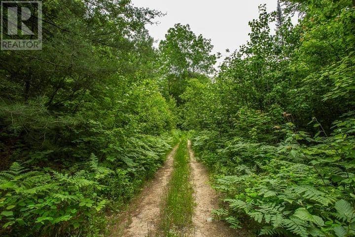 Highway 17 Sheppards LN, Township of North Shore — photo 23 of 40