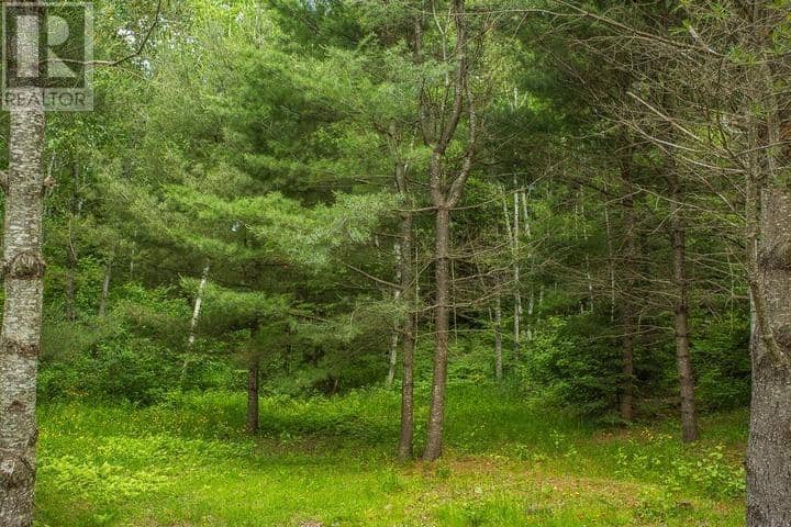 Highway 17 Sheppards LN, Township of North Shore — photo 25 of 40