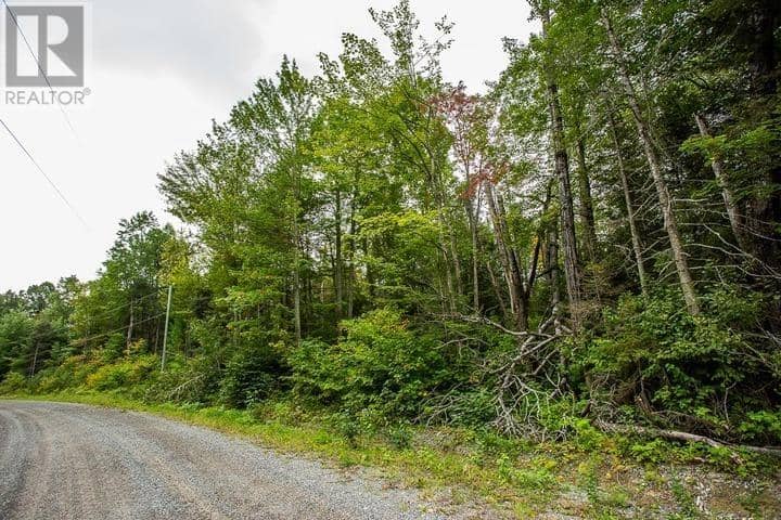 Trunk Road at Highway 17 East, Huron Shores Township — photo 27 of 40