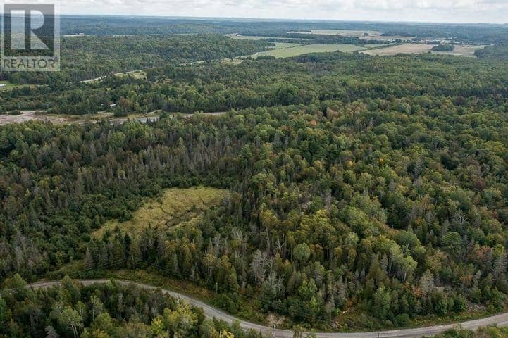 Trunk Road at Highway 17 East, Huron Shores Township, Thessalon, photo 8