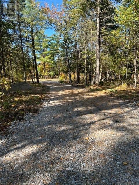 Part 2 - 0 Ledge Road — photo 7 of 7