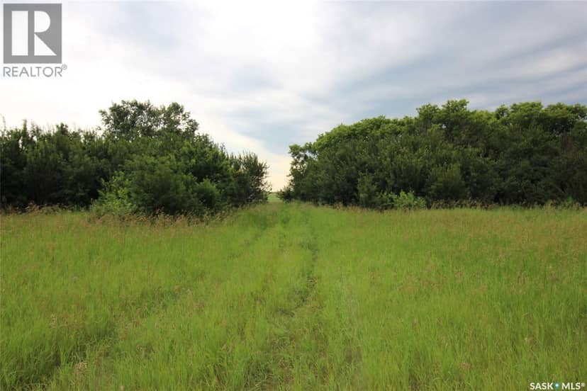 Bone Creek Homestead — photo 14 of 25