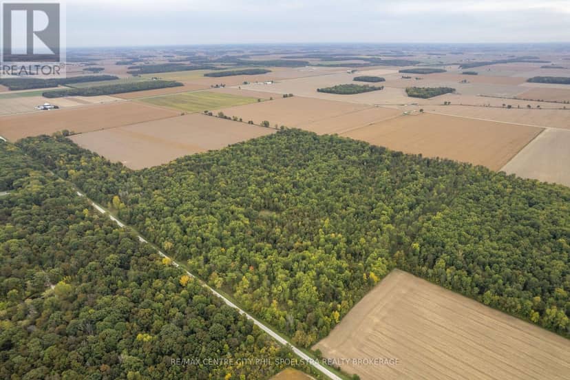 Lt 23-25 Con 10 Holt Line — photo 13 of 28