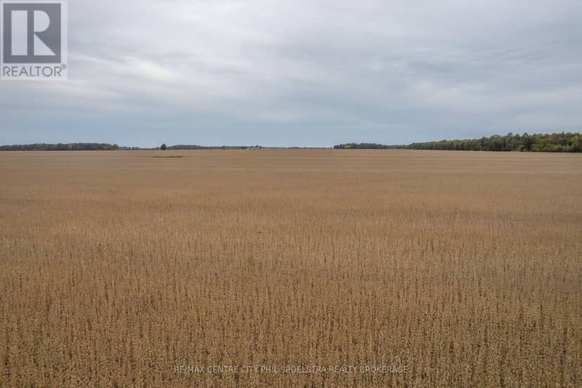 Lt 23-25 Conc 10 Holt Line — photo 10 of 28