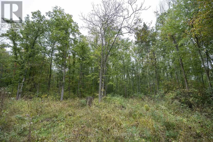 Lt 23-25 Conc 10 Holt Line — photo 17 of 28