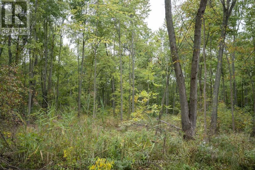 Lt 23-25 Conc 10 Holt Line — photo 21 of 28