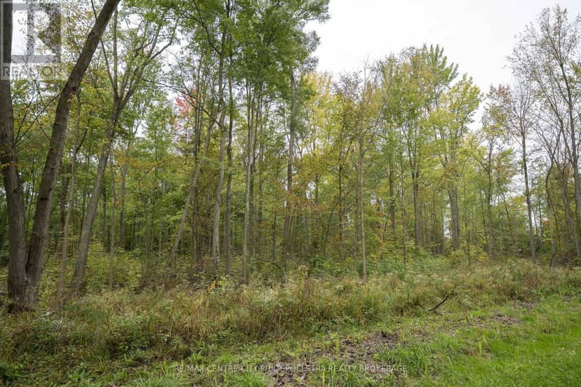 Lt 23-25 Conc 10 Holt Line — photo 22 of 28