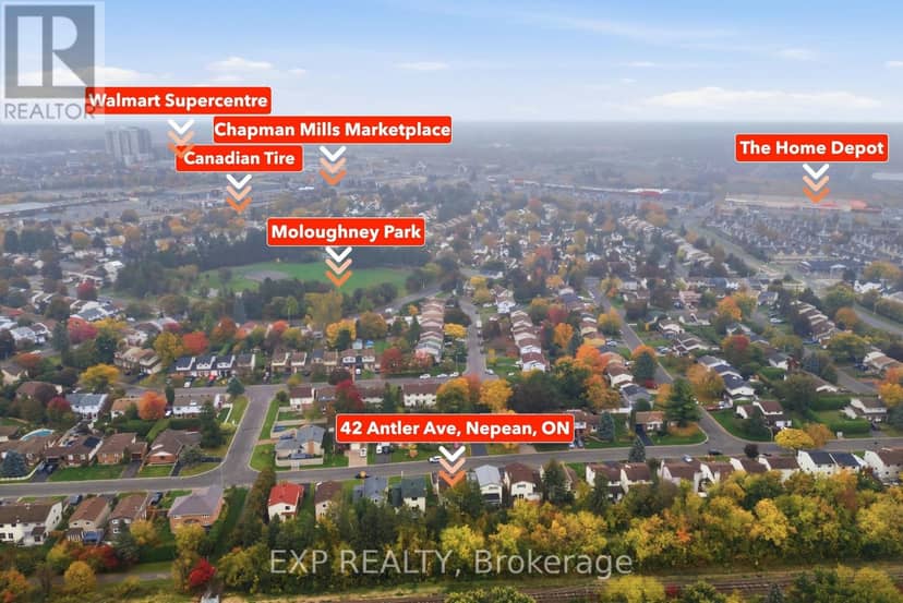 42 Antler Avenue, Ottawa, photo 5