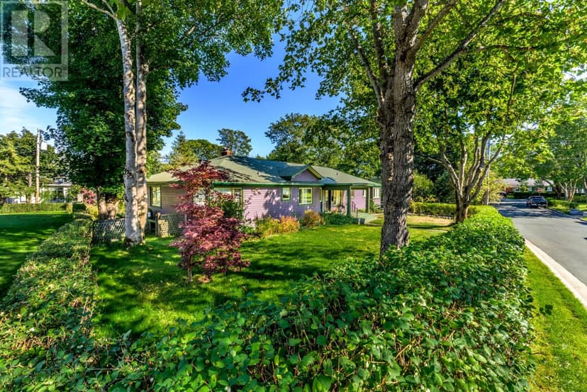 4 Sycamore Place, St. John's, photo 2