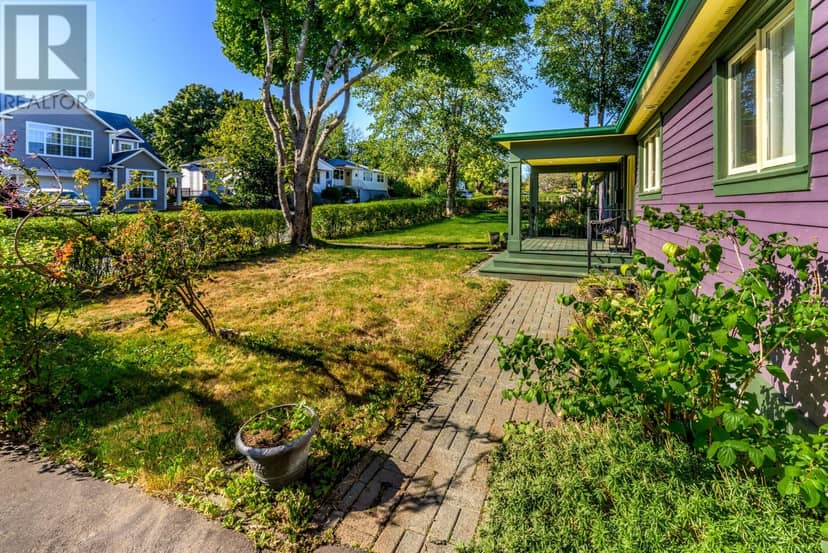4 Sycamore Place, St. John's, photo 4