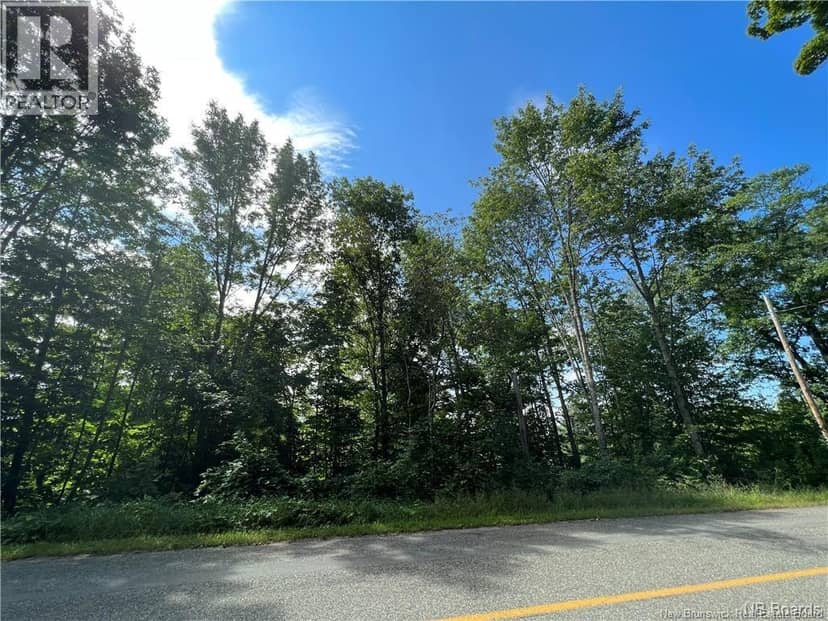 Vacant Lot 1 Route 105 — photo 2 of 3