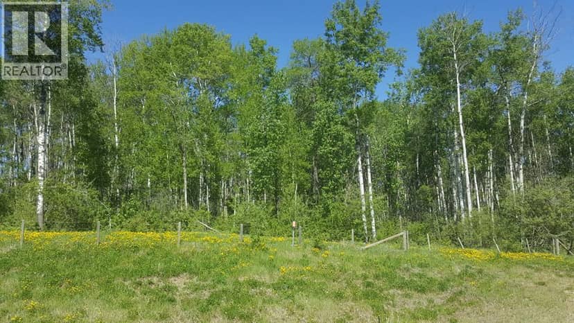 Weberville Road, Rural Northern Lights, County of, photo 4