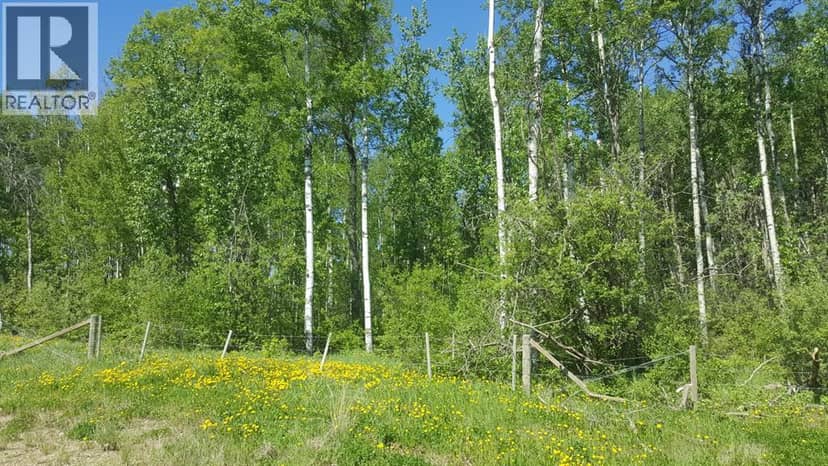 Weberville Road, Rural Northern Lights, County of, photo 3