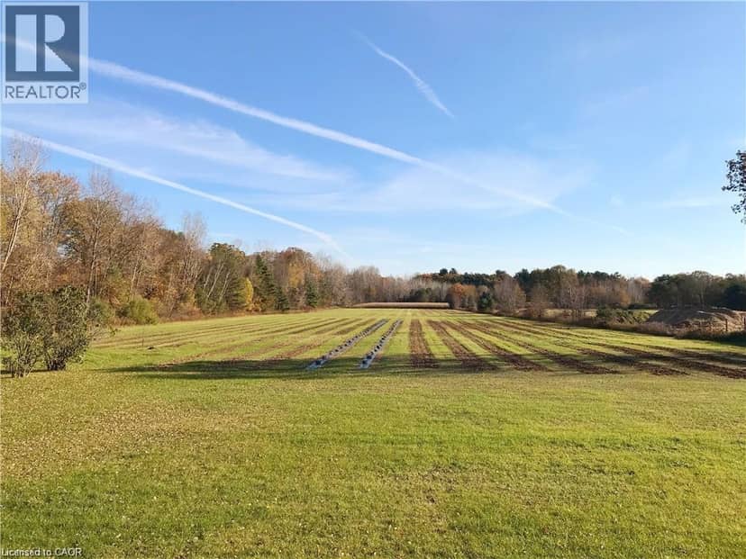 1938 TURKEY POINT Road — photo 19 of 34