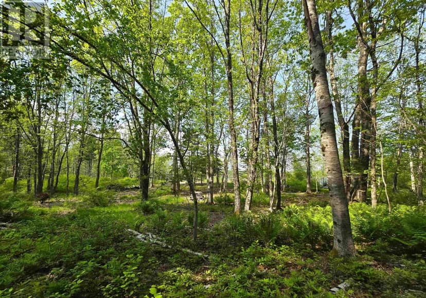 Lot Highway 3 — photo 26 of 29